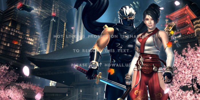 1920x1200 video games ninja gaiden 3d