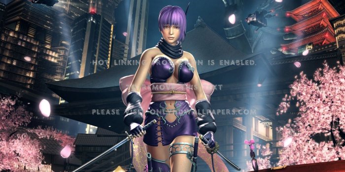 1920x1200 ninja gaiden 3d Ayane