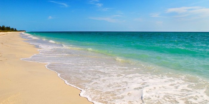 1024x768 46+] Florida Beach Desktop Wallpaper on WallpaperSafari