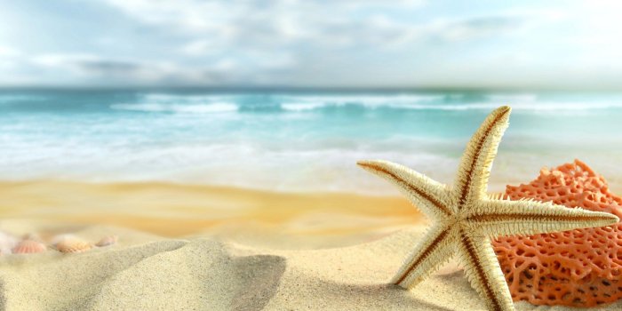 1920x1200 Beach desktop wallpapers Gallery