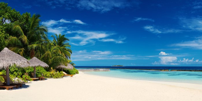 3840x2160 Tropical Beach Palm Trees 4K Desktop Wallpaper