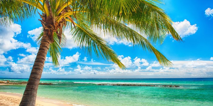 6016x3898 Free Beach Desktop Wallpaper (33+), Find HD Wallpapers For Free