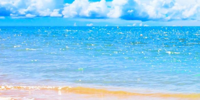 1440x2560 Beach iPhone Wallpapers - Top Free Beach iPhone Backgrounds