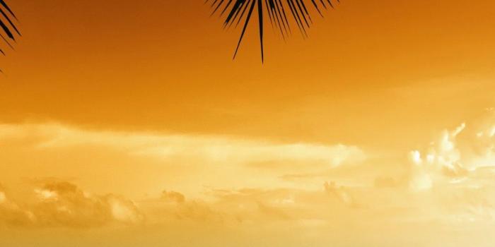 1080x1910 Beach iPhone Wallpapers - Top Free Beach iPhone Backgrounds