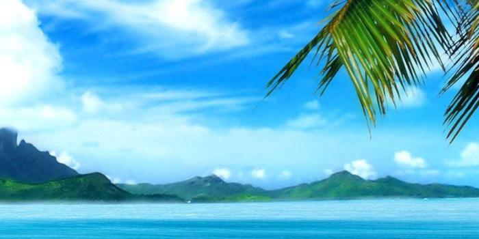 1154x2048 IPhone Beach Wallpapers