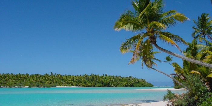 2560x1600 Caribbean Sea Palm Beach Desktop Wallpaper : Wallpapers13.com