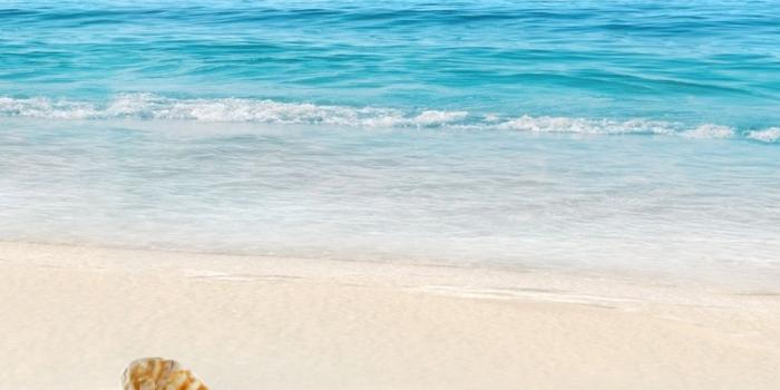 1080x1920 Beach iPhone Wallpapers - Top Free Beach iPhone Backgrounds