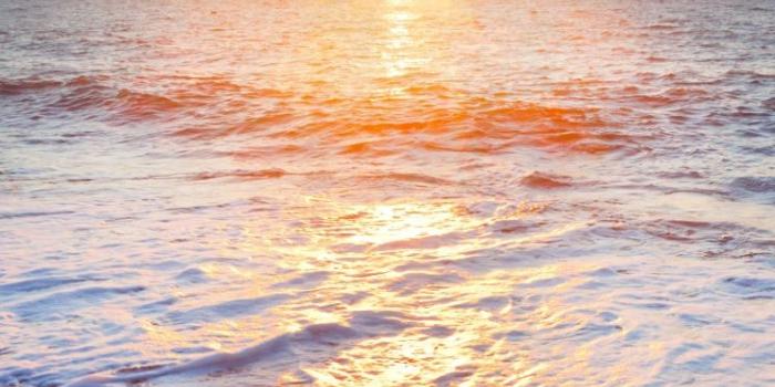 744x1392 Beach iPhone HD Wallpaper, Background Images