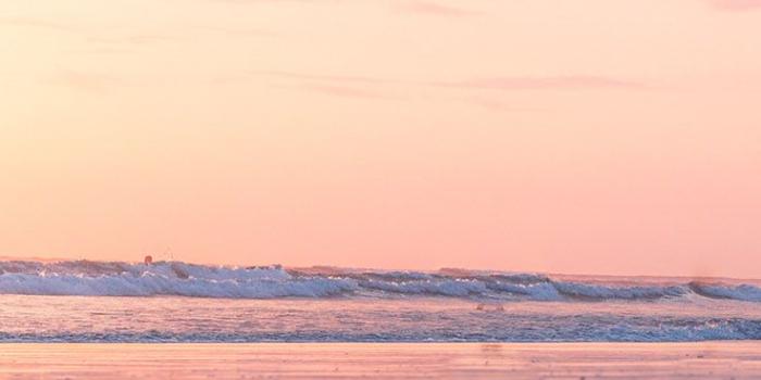 736x1308 Let's Go To The Beach iPhone Xs Wallpaper Collection | Preppy Wallpapers