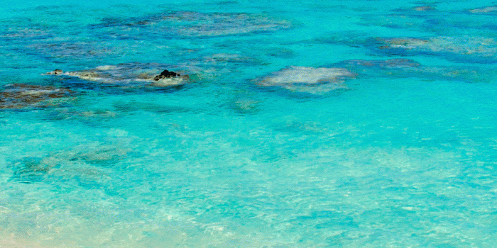 1125x2436 Beach Wallpaper for iPhone X, 8, 7, 6 - Free Download on 3Wallpapers