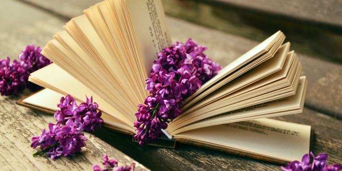 3840x2160 Lilac flowers and a good book 4k Ultra HD Wallpaper | Background