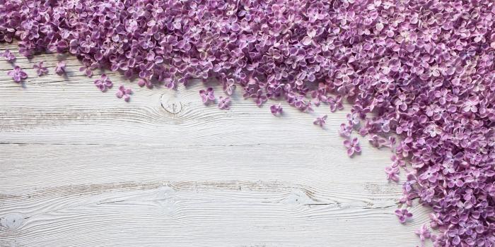 2560x1440 Wallpaper Many purple lilac flowers on wood board 3840x2160 UHD 4K