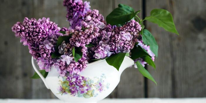 1920x1200 Lilacs in the bowl wallpaper - Flower wallpapers - #52993