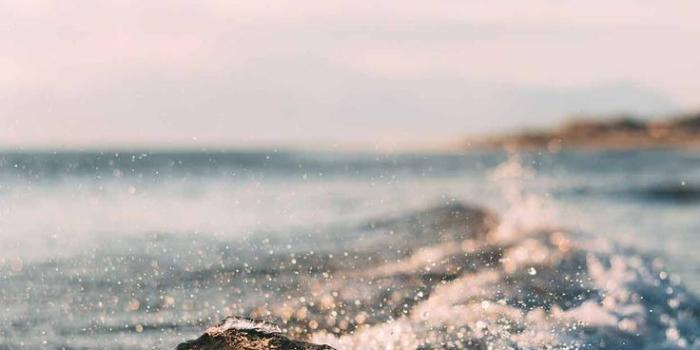 736x1308 9 Best Ocean iPhone XS Wallpapers – Best Water Beach Sea Backgrounds