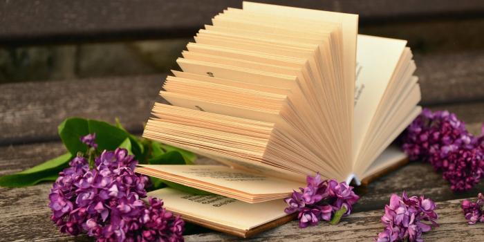 3840x2160 35+ Books and Flowers Wallpapers - Download at WallpaperBro