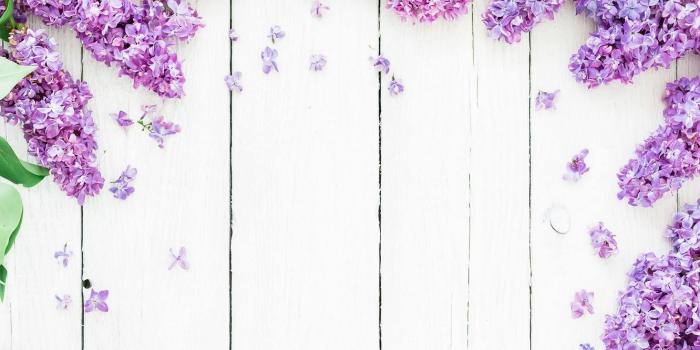 1332x850 Wallpaper flowers, background, spring, flowers, lilac, lilac images