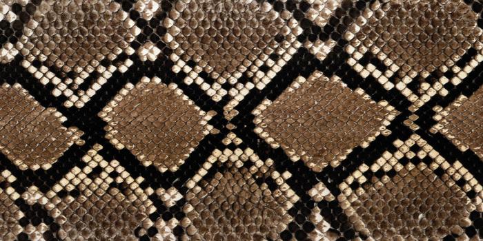 3840x2400 Fendi Wallpapers - Top Free Fendi Backgrounds - WallpaperAccess