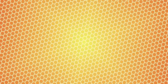 2560x1600 Honey pattern wallpaper - Abstract wallpapers - #14518