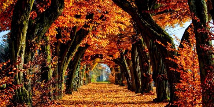 1920x1080 Fall Color Wallpaper (49+ images)