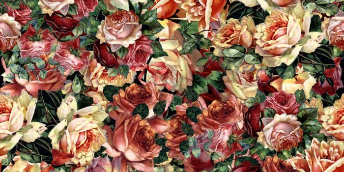 1024x1024 Vintage Rose Bouquet | W1202