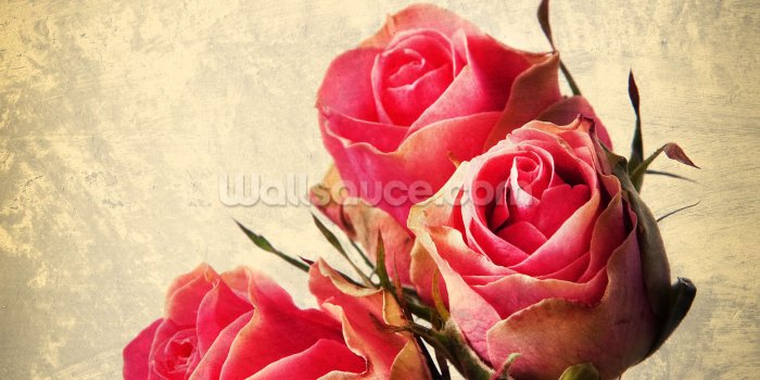 1600x2390 Vintage Roses