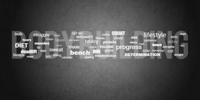 1440x927 Gym Quotes Wallpapers