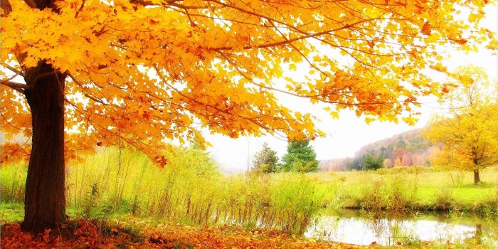 2560x1600 Autumn scenery Wallpapers Pictures Photos Images | Download High