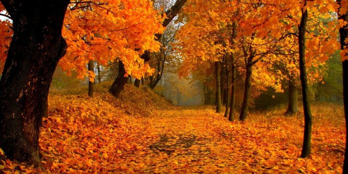 1920x1200 64+ Fall Scenery Wallpapers on WallpaperPlay