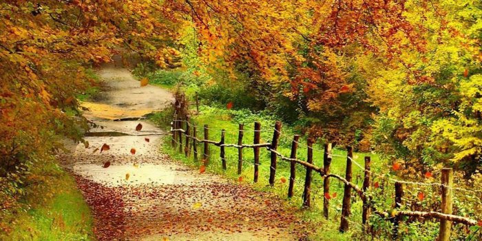 1600x1200 Fall Scenery | Tag: Beautiful Autumn Scenery Wallpapers,Backgrounds