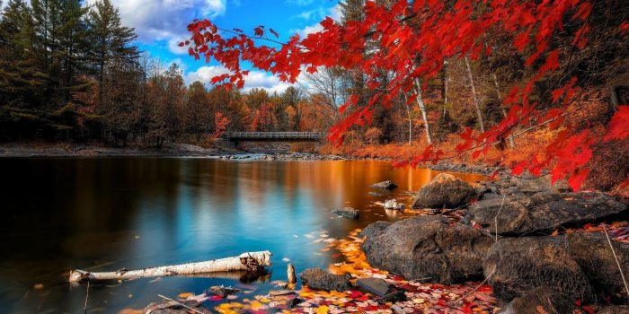 1920x1080 45+ Autumn Scenery Wallpapers - Download at WallpaperBro