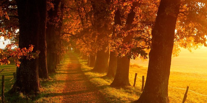 2560x1600 Autumn Scenery - Autumn wallpaper (35580364) - fanpop