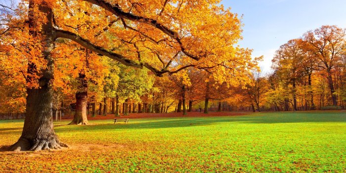 2560x1440 Jennifer Dennis on Autumn | Scenery wallpaper, Autumn scenery