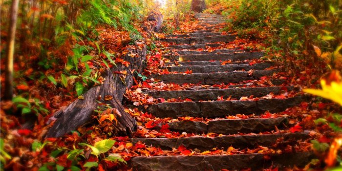 1920x1200 40 Autumn Scene Background Wallpaper for Desktop