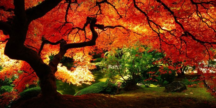 1920x1080 Fall Scenery Wallpapers Free Download