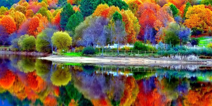 1920x1200 Download Fall Scenery Wallpaper (54+) - Free Wallpaper For your screen.