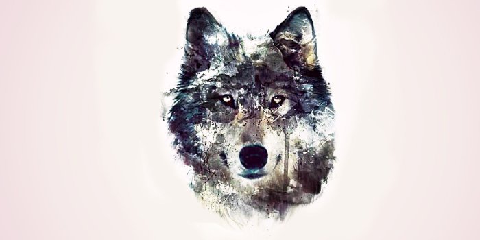 1920x1080 Wolf Art Wallpaper (79+ images)