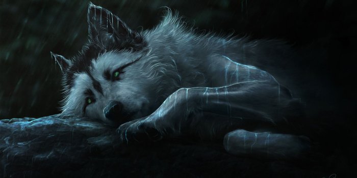 2048x1152 74+ Wolf Art Wallpapers on WallpaperPlay