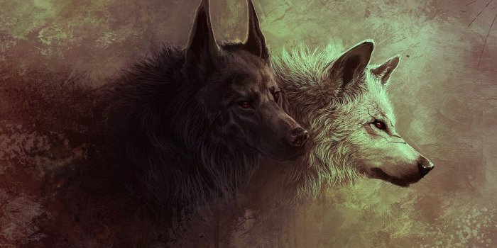 2560x1600 Artwork, Abstract HD Wallpaper, Art,fantasy Wolves, Wolf, Artistic