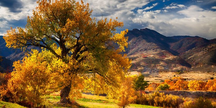 3554x1999 Beautiful Autumn scenery wallpaper Gallery