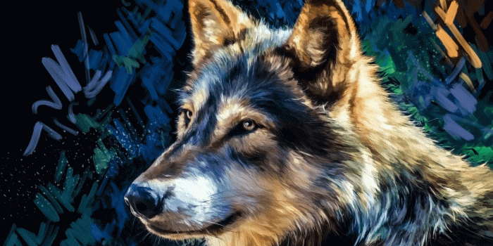 1920x1080 Wolf Art HD Wallpaper | Background Image | 1920x1080 | ID:905985