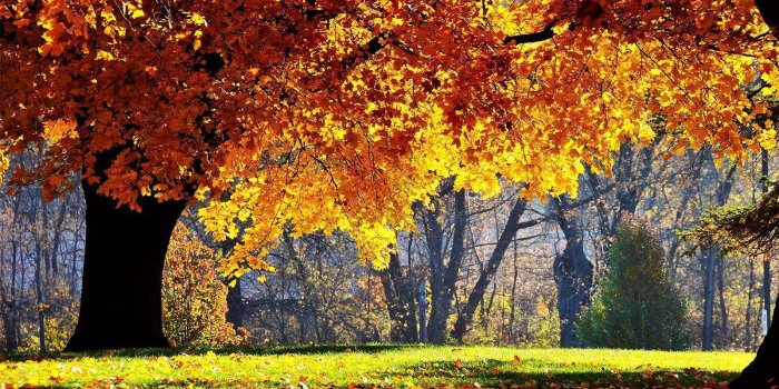 1600x1000 Fall Scenery Wallpapers