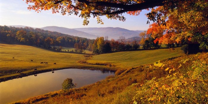 1920x1200 Autumn Landscape #7010453