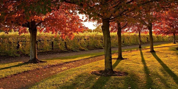 1600x1000 scenic | Description: Download Autumn Scenic Wallpaper, Autumn