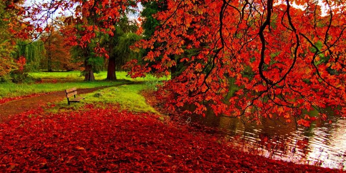 1920x1200 64+ Fall Scenery Wallpapers on WallpaperPlay