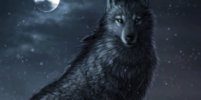 1920x1200 Dark wolf wallpaper - Digital Art wallpapers - #46512