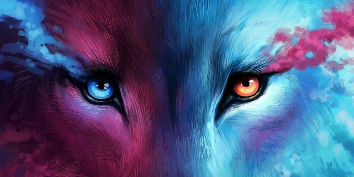 1080x1920 Cosmic Wolf - Tap to see more creative wallpaper! - @mobile9