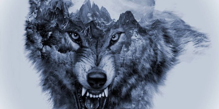 1440x1280 Wolf Art Wallpaper by __BlueAngel__ - 80 - Free on ZEDGE™