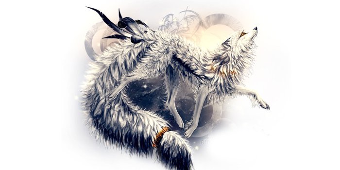 1920x1200 Interesting wolf wallpaper - Digital Art wallpapers - #47180