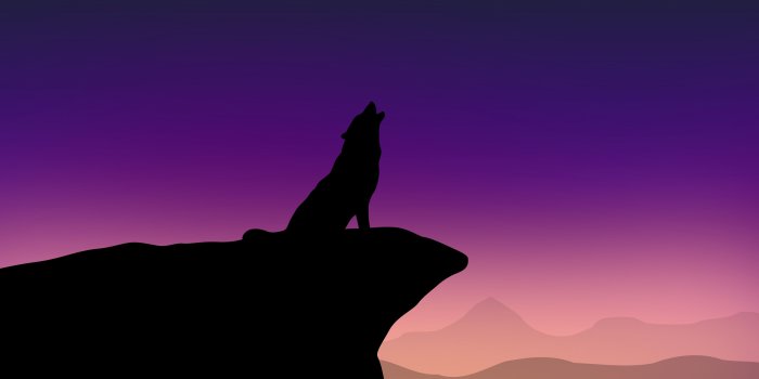 3840x2160 Howling Wolf Minimalism 4k, HD Artist, 4k Wallpapers, Images