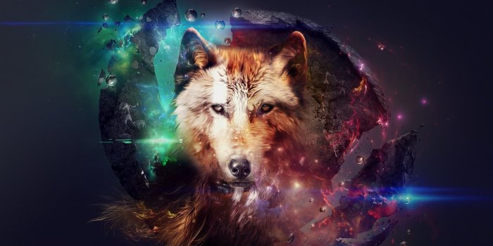 2560x1440 artwork, Wolf, Planet, Space, Fire, Stars, Fantasy Art, Science